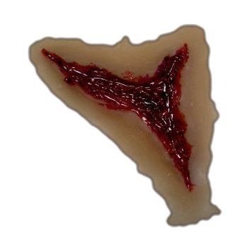 SGM-BloodLine
